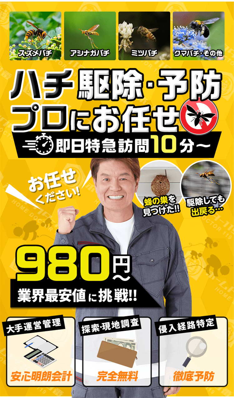 ハチ駆除・予防プロにお任せ。