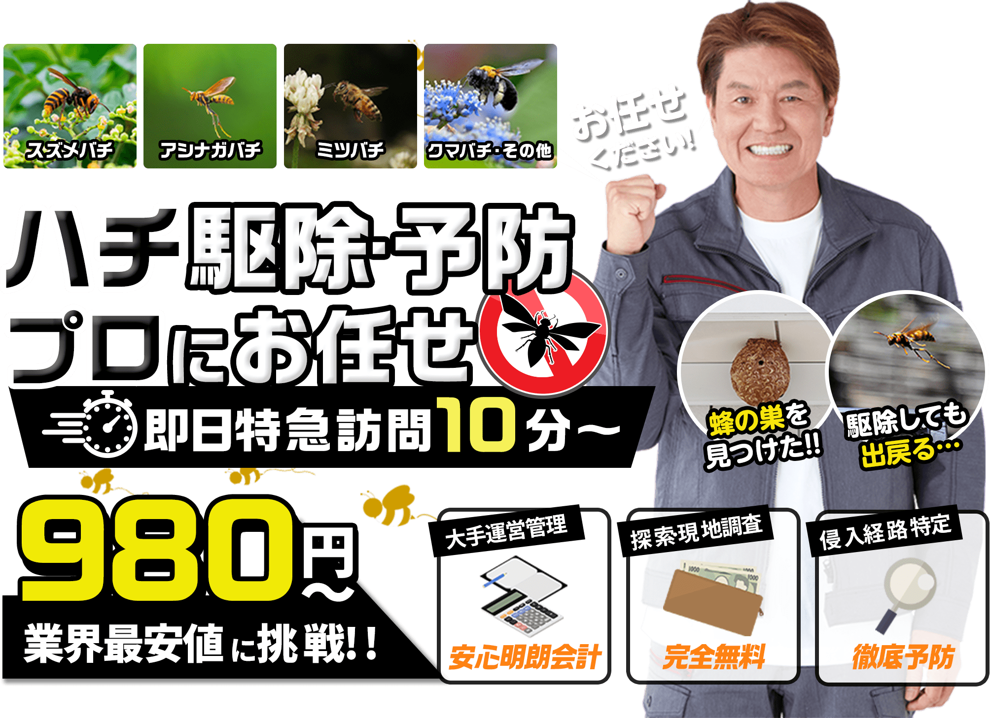 ハチ駆除・予防プロにお任せ。