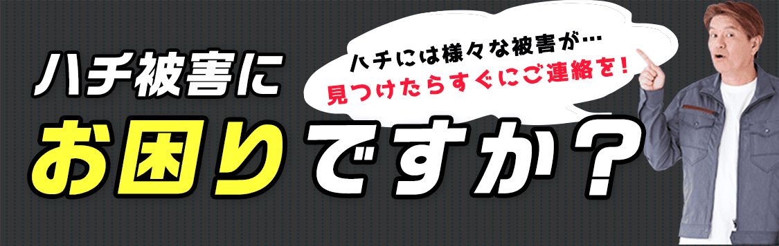 ゴキブリ被害にお困りですか？ゴキブリには様々な被害が…見つけたらすぐにご連絡を！