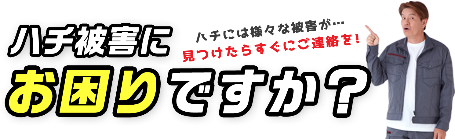 ゴキブリ被害にお困りですか？ゴキブリには様々な被害が…見つけたらすぐにご連絡を！
