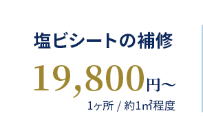 塩ビシートの補修 19,800円〜