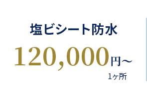 塩ビシート防水 120,000円〜